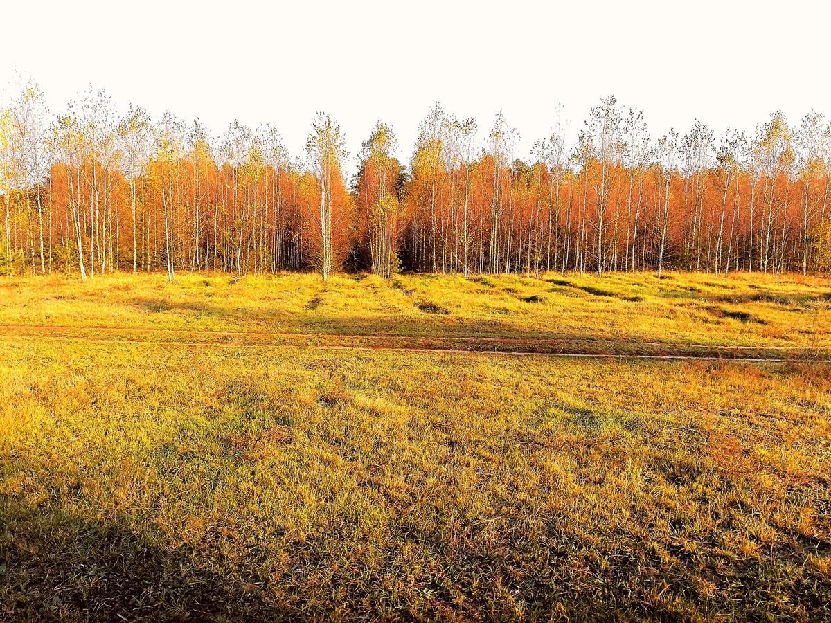 Дома для отпуска Folk house Каменюки-20